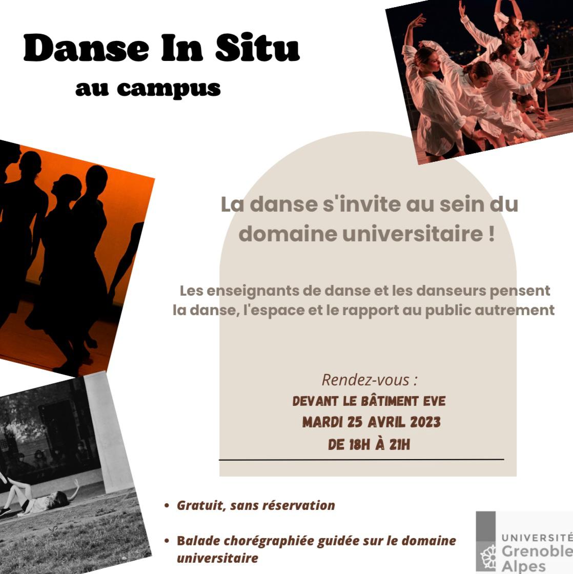 danse in situ