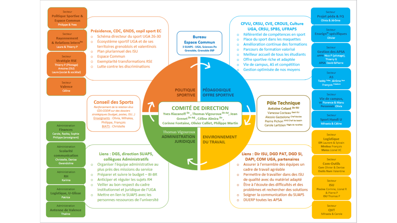 Organigramme SUAPS 03 2026